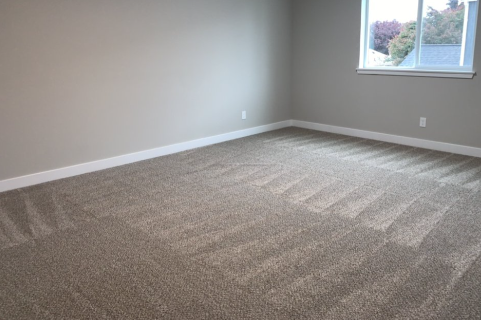 Clean Carpet